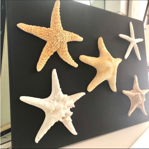 NWT Large 20x30” Black Canvas STARFISH COLLECTIBLE ART - Picture 2 of 7